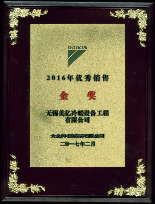 2016 年优秀销售金奖